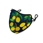 Load image into Gallery viewer, Lemons